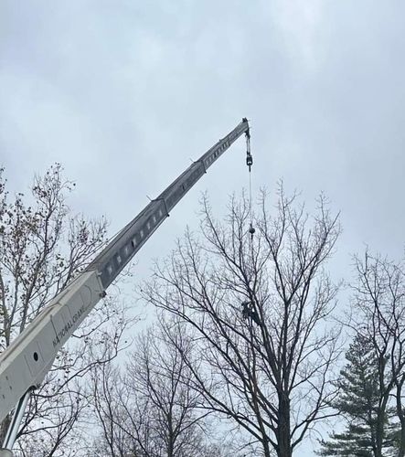 Tree Removal for Highborn Tree Service in Wheatfield, IN