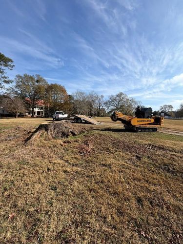 Stump Excavation for Dozier Stump Grinding in Augusta, GA