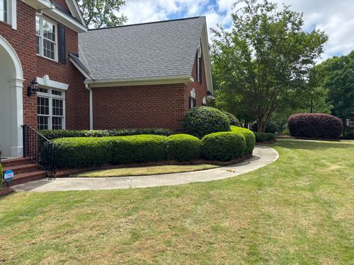 Shrub Trimming for Jonathan landscaping in Lexington, South Carolina