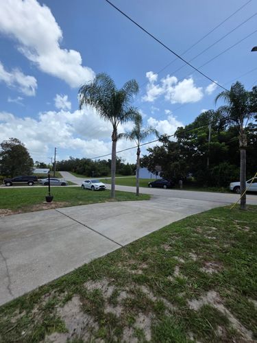 All Photos for Highlife Tree Care And Landscaping in Altamonte Springs, FL