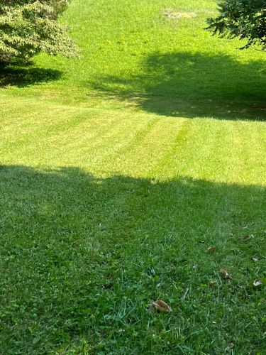 All Photos for The Yard Barbers in Somerset, KY