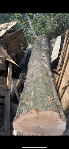 All Photos for Ramirez Tree Care in Elkin, NC