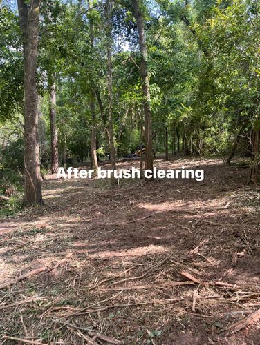 Land Clearing for Pinewood Land Management LLC in Nashville, GA