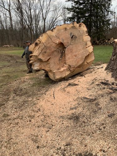 Tree Removal for Benjamin & Sons in Elmira, NY