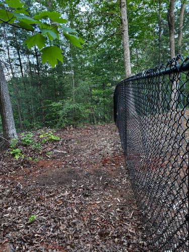 Chainlink Fences for Alpine Fence in Dahlonega, GA