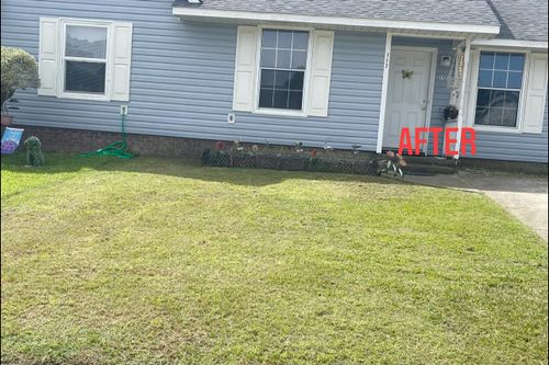 All Photos for Voilà Magic LawnCare Services in Jacksonville, NC
