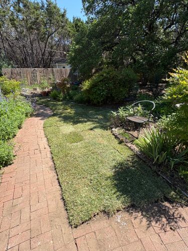 Sod & Seed installs for Bad Axe Landscapes LLC in Bulverde, TX