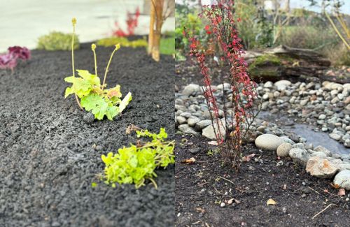 for G&I Landscape in Marysville, WA