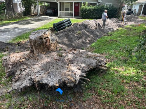  for Parker Land Services in Lakeland, FL
