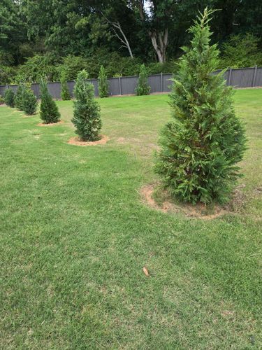  for Palmour's Lawn Care in Gainesville, GA