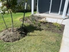 Lawn Maintenance for Oviedo Land & Garden in Bastrop, TX
