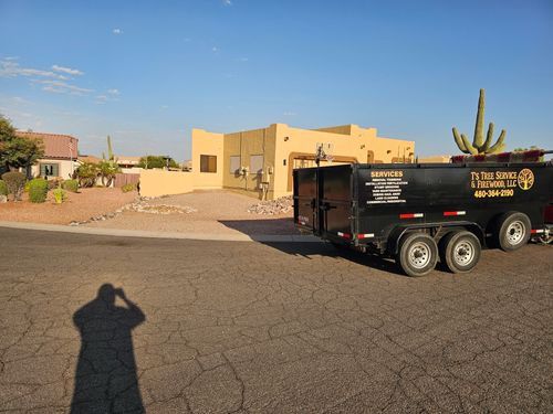 Tree Removal for T's Tree Service and Firewood in Apache Junction, AZ