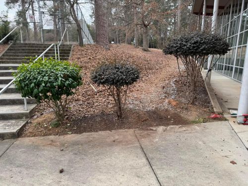  for Shang's Landscaping Service in Columbia, South Carolina