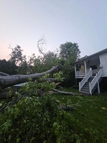 All Photos for AAA Tree Cutting in Shavertown, PA