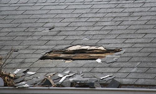 Shingles for Bueno-Wilkerson Roofing in DeLand, FL