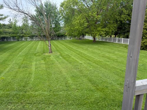  for Bearforce Lawn Care LLC in Greenfield, IN