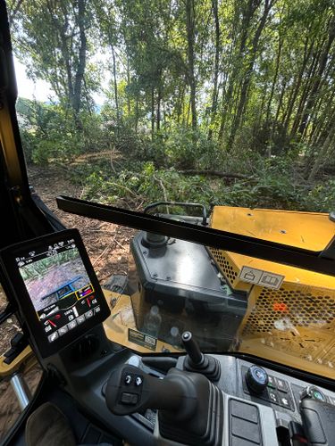 Land Clearing for Schrock’s Land Management in Northern Virginia, Shenandoah Valley, VA