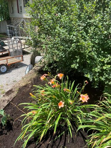 All Photos for The Yard Barbers in Somerset, KY