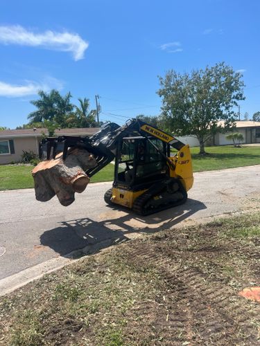 Stump Removal for Adam's Tree and Stump Care in Sarasota, FL