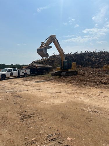  for AB Tree Service in Raleigh, NC