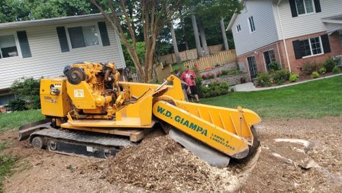 Stump Removal for W D Giampa Lawns and Landscape Inc. in Manassas, VA