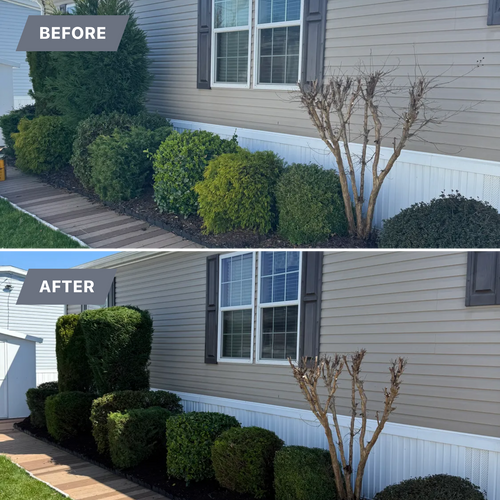 Tree & Shrub Care for Joe’s Landscape And Design LLC in Egg Harbor Township, NJ