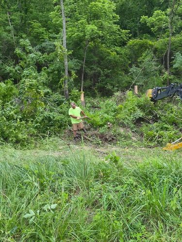 All Photos for Carpenter's Tree Service in Aurora, IN