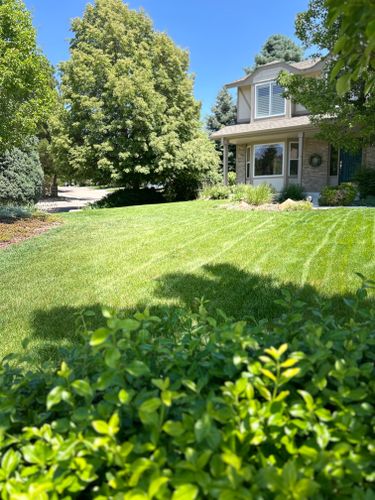 Mowing, Edging & Trimming for Denver Bros Lawn Control in Denver, CO