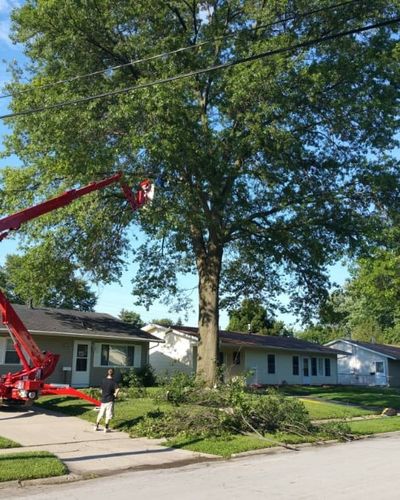 Tree Trimming for F & F Tree Service in Beavercreek, OH