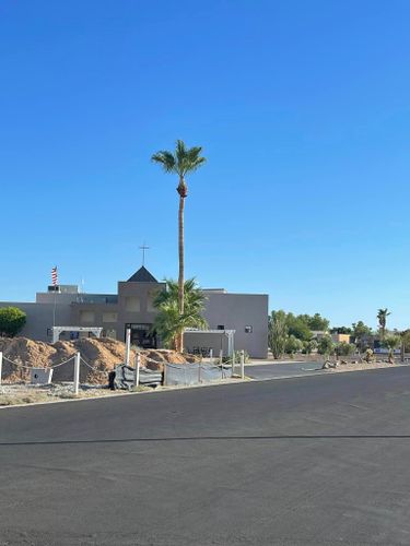 Tree Removal for Oliver L. Palm & Tree services in Yuma, AZ