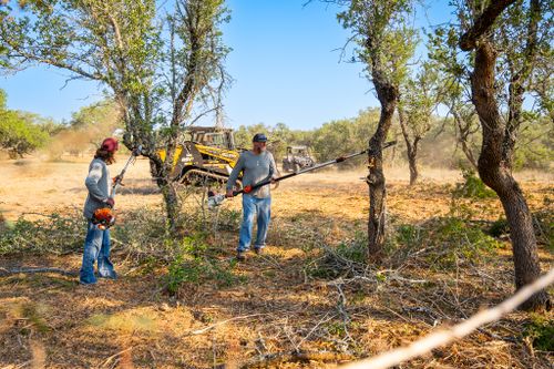 Tree Trimming & Removal for 512 Land Clearing in Blanco County, TX