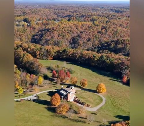  for Z's Land Management & Forestry Mulching in Smithville, TN