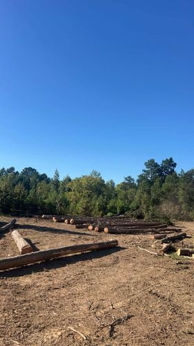 All Photos for 9 Oaks Tree Service and Excavation in Drakes Branch, VA