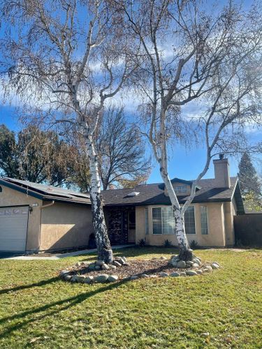 Tree Removal for A1 Junk & Tree Solutions, LLC in Paso Robles, CA