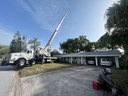 Tree Removal for Adam's Tree and Stump Care in Bradenton, Florida