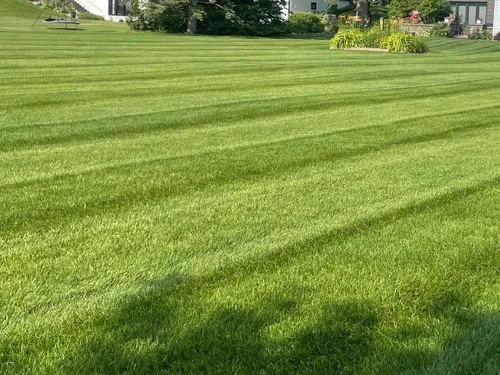 Lawn Maintenance for BRO Property Services in Bemidji, MN
