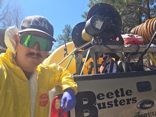 Pest Control for Beetle Busters LLC in Centennial, CO