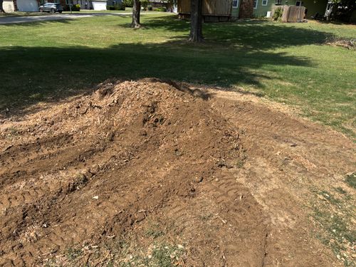 Stump Removal for Conrad's Stump Removal in Columbus, IN