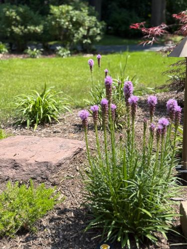 Softscaping for Hillside Landscape & Design in Chesterland, OH