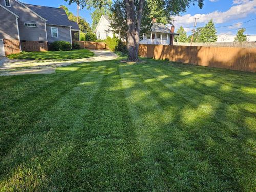  for Upstate Lawncare & Maintenance in Piedmont, SC