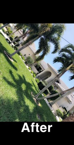 Lawn Maintenance for Rize N’ Grind  in Punta Gorda, FL