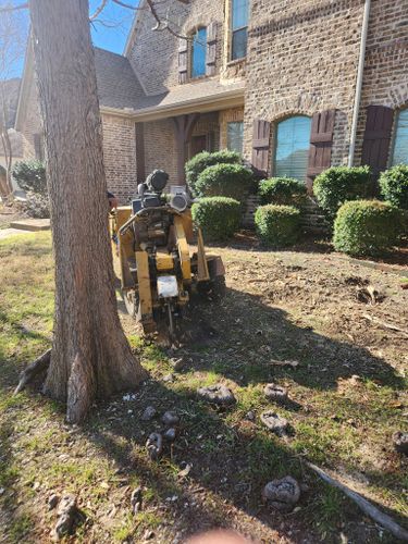 All Photos for Lavon Lawn Plus in Lavon, TX