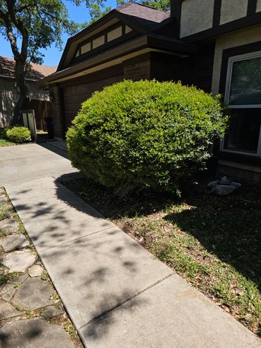 Shrub Trimming for Miller Mowing and Maintenance in San Antonio, TX