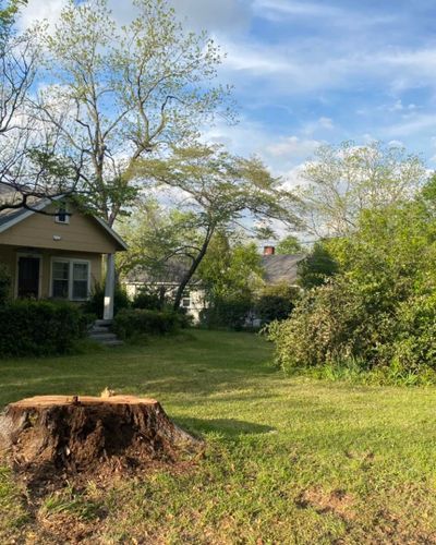 Stump Removal for Pinedown LLC in Cherokee County, GA