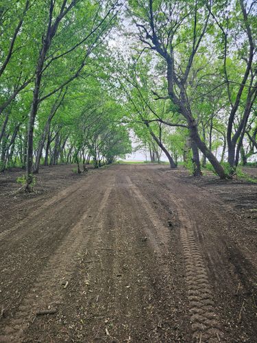 for Tree Tech in Luverne, MN