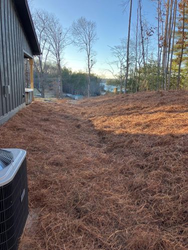 Land Clearing for Gibson Grade Works in Towns County, GA
