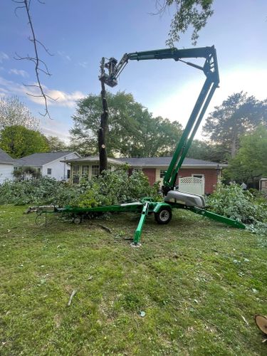 Tree Services for Tree Guys Pressure Washing & Stump Grinding in Scottsboro, AL