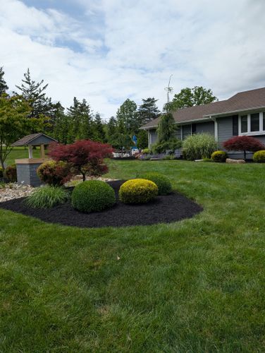 Privacy Plantings for Ettere Landscape Services in Flemington, NJ