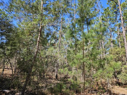  for J & E Land Clearing, LLC. in Dunnellon, FL