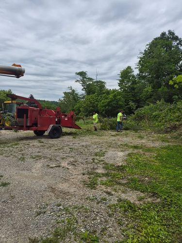 All Photos for Carpenter's Tree Service in Aurora, IN